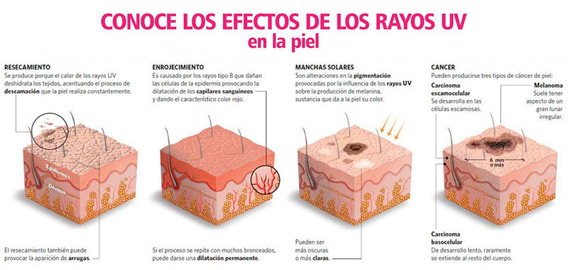 El número de la crema de protección solar indica el factor de protección solar (FPS). El factor de protección solar indica el nú