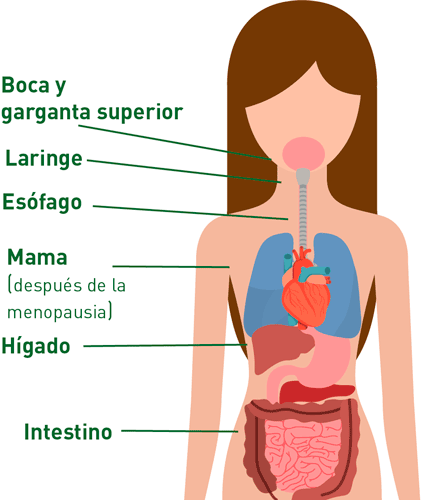 Cáncer y alcohol 